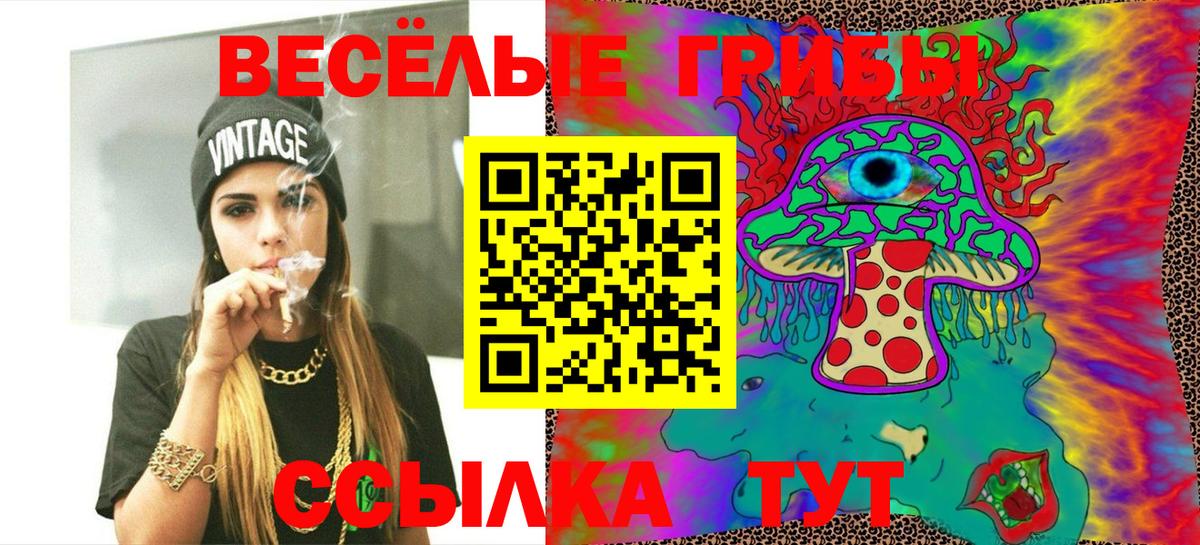 Галлюциногенные грибы мухоморы  Галлюциногенные грибы GOLDEN TEACHER  Новотроицк  Вход с VPN 